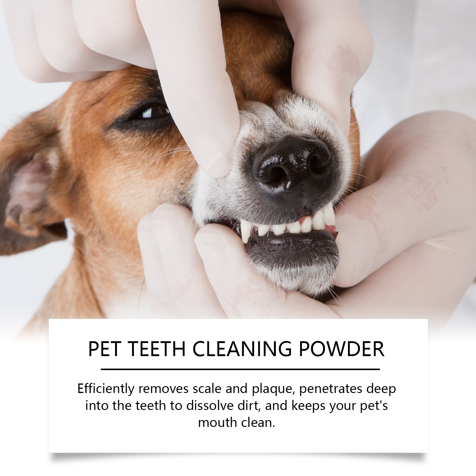 Pet Teeth Cleaning Powder Redu - Teeth Whitening China 评论和价格